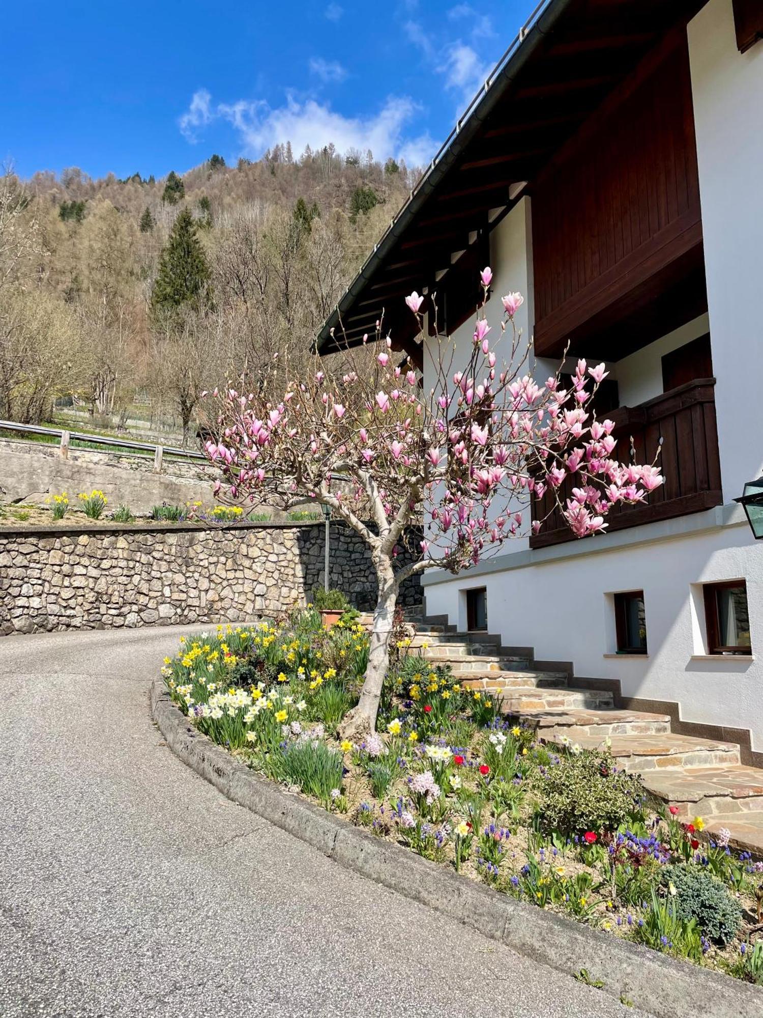 Ca Borghetto 호텔 Venas 외부 사진