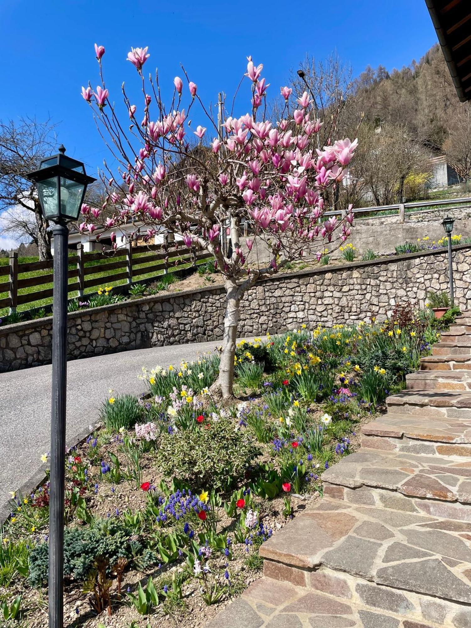 Ca Borghetto 호텔 Venas 외부 사진